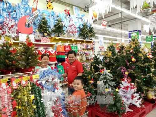 Thông Noel loại lớn có giá tới 3 triệu đồng/cây 